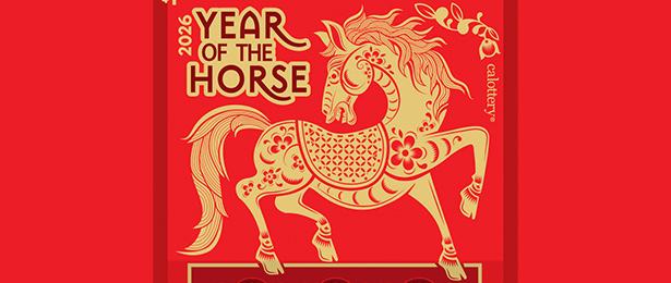 Year of the Horse scratch-off ticket