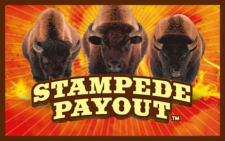 Stampede Payout scratch-off ticket